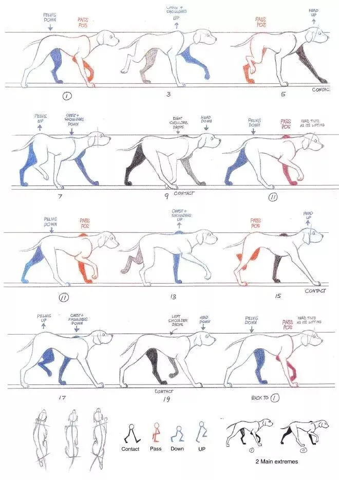 图2