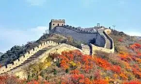 图14