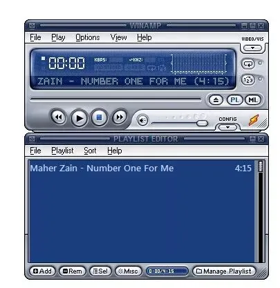 图1