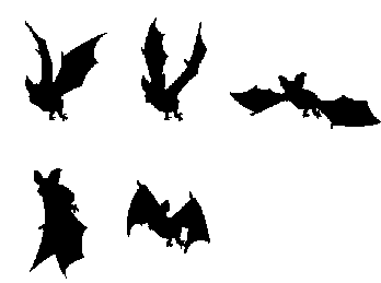 图6