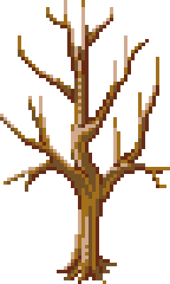 图6